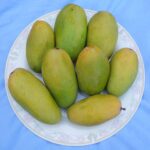 ORGANIC DASHERI MANGO